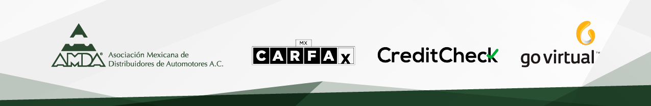 Alternate Text